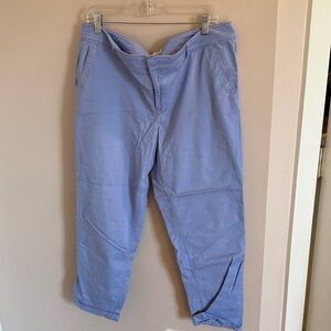 Loft Periwinkle Ankle Length Chinos